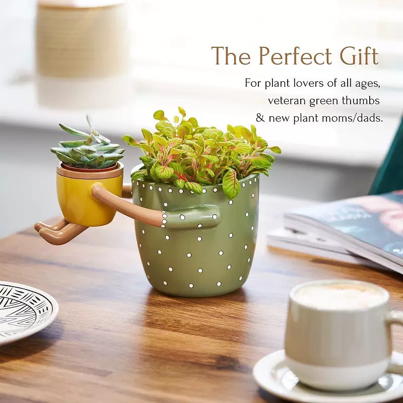 樹脂製親子フラワーポット、排水穴付き、フラワーアレンジメント - Plant Parent Pot のレビューと価格